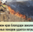 В Алтайском крае благодаря авиалесоохране 99% лесных пожаров удается потушить в первые сутки - Газета На земле косихинской